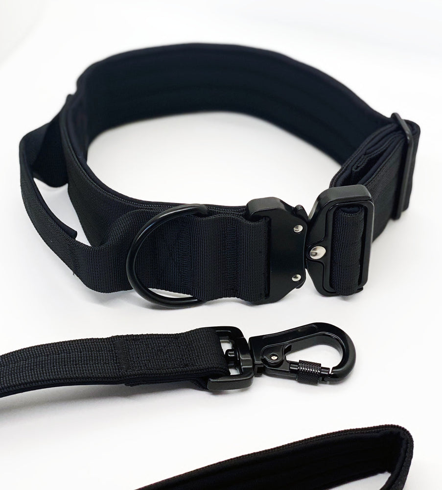 LEASH AND COLLAR SET