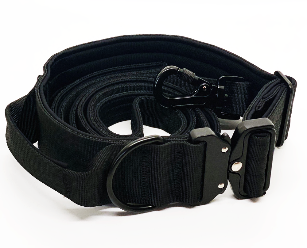 QUICK RELEASE COLLAR AND LEASH