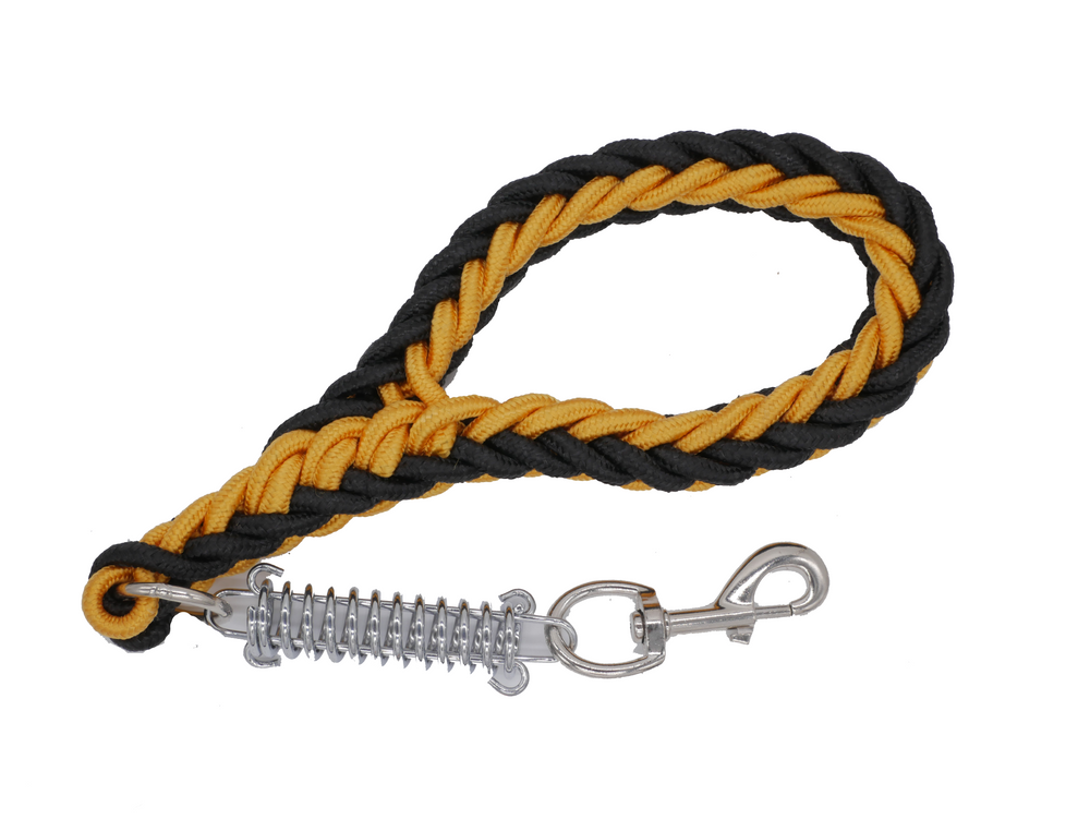 GOLD & BLACK SHOWTIME SHORT LEAD