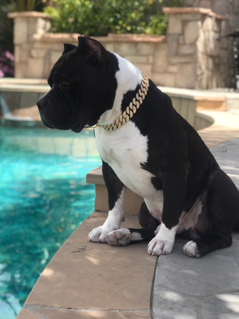 31 MM GOLD DIAMOND ROLLS ROYCE COLLAR