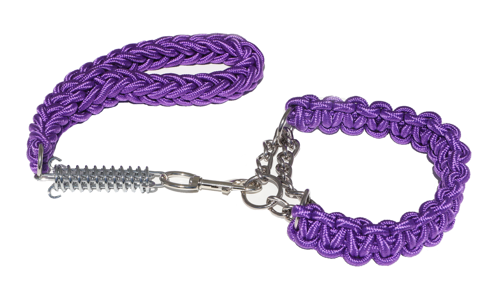 PURPLE SHORT LEAD AND COLLAR COMBO