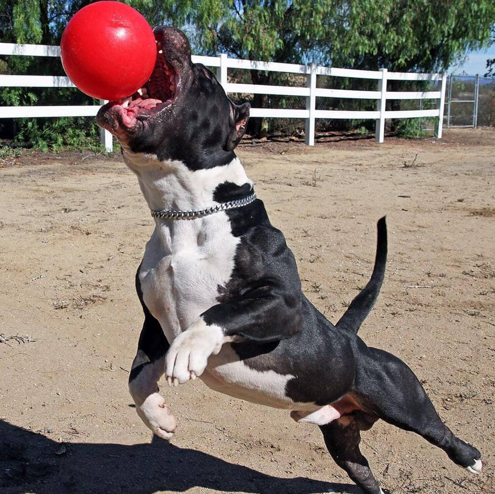 INDESTRUCTIBLE BALL SMALL 6"