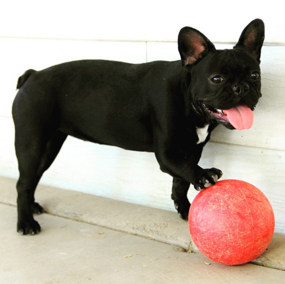 INDESTRUCTIBLE BALL SMALL 6"