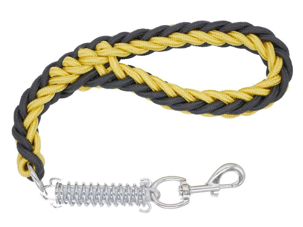 BLACK & YELLOW SHOWTIME SHORT LEAD