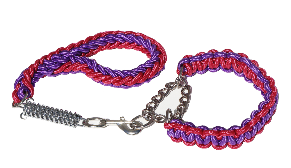 PURPLE & PINK SHOWTIME SHORT LEAD