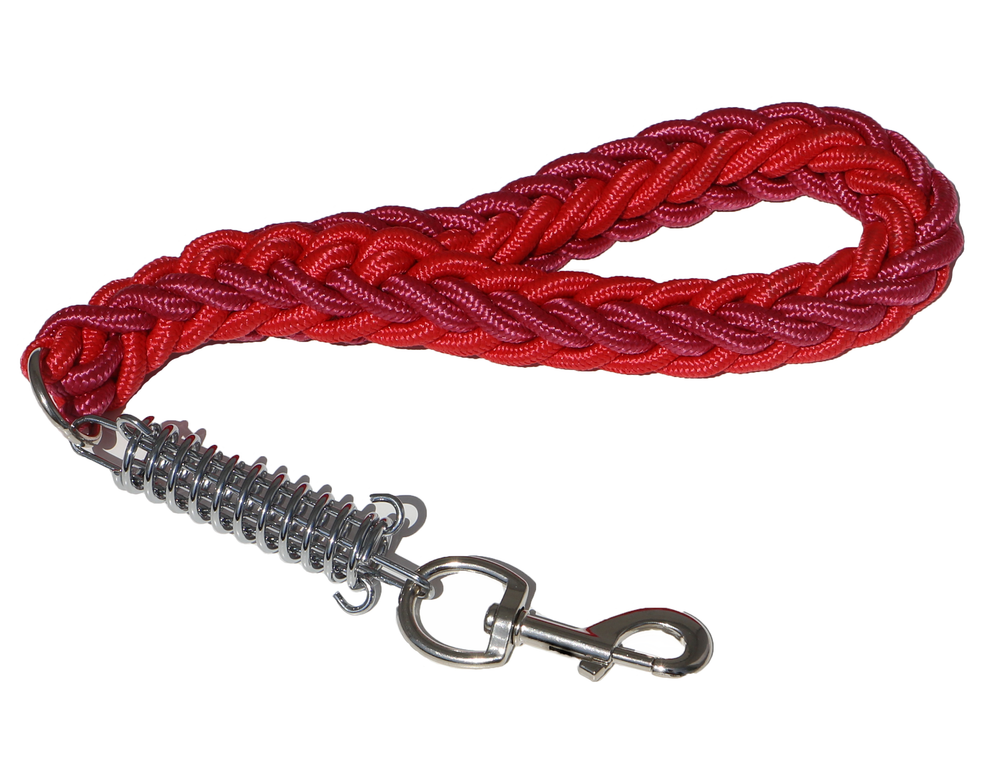 PINK AND RED SHOWTIME SHORT LEAD