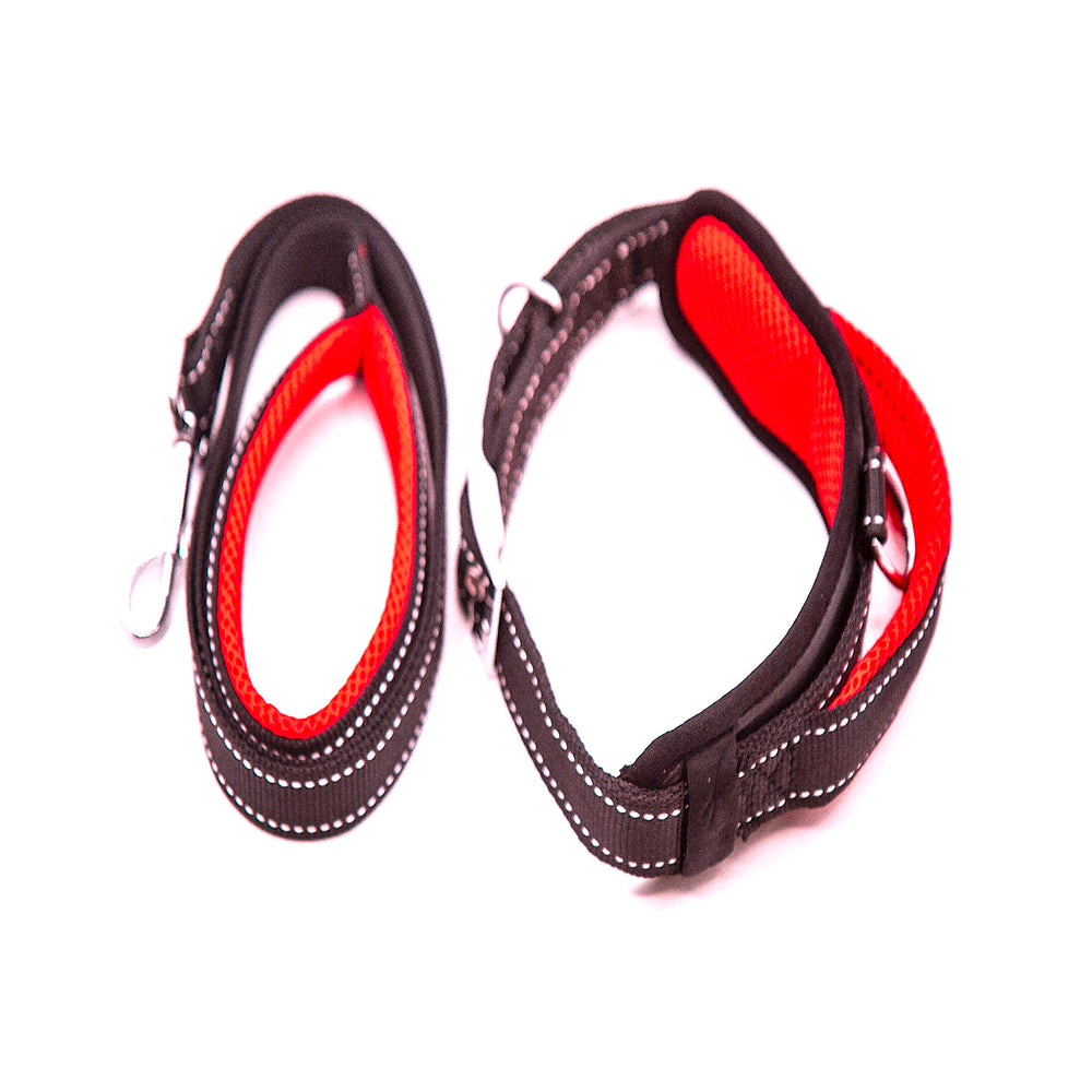 COLLAR WITH *HANDLE* & LEASH