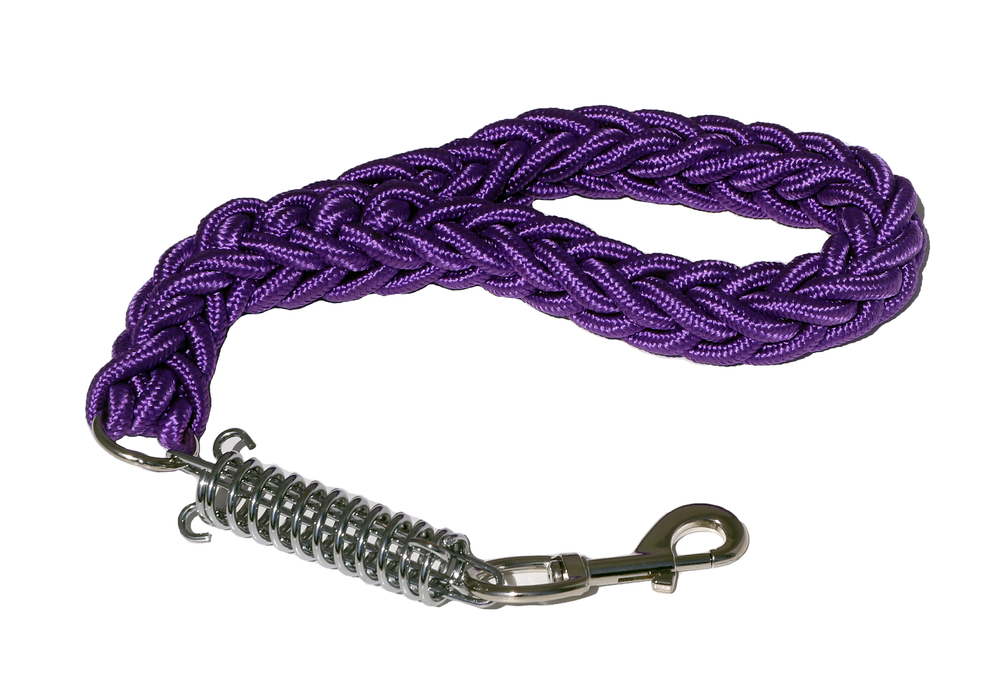 PURPLE SHOWTIME SHORT LEAD