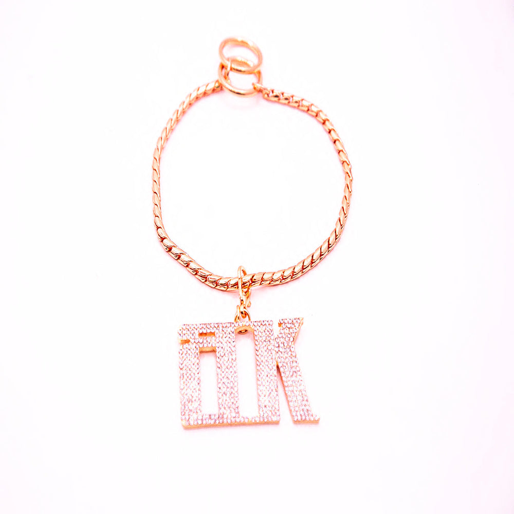 BEAUTIFUL GOLD SNAKE CHAIN COLLAR W/ BK LOGO